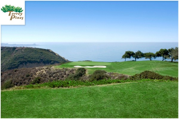 torreyPines hdGolfSimulator 600x400
